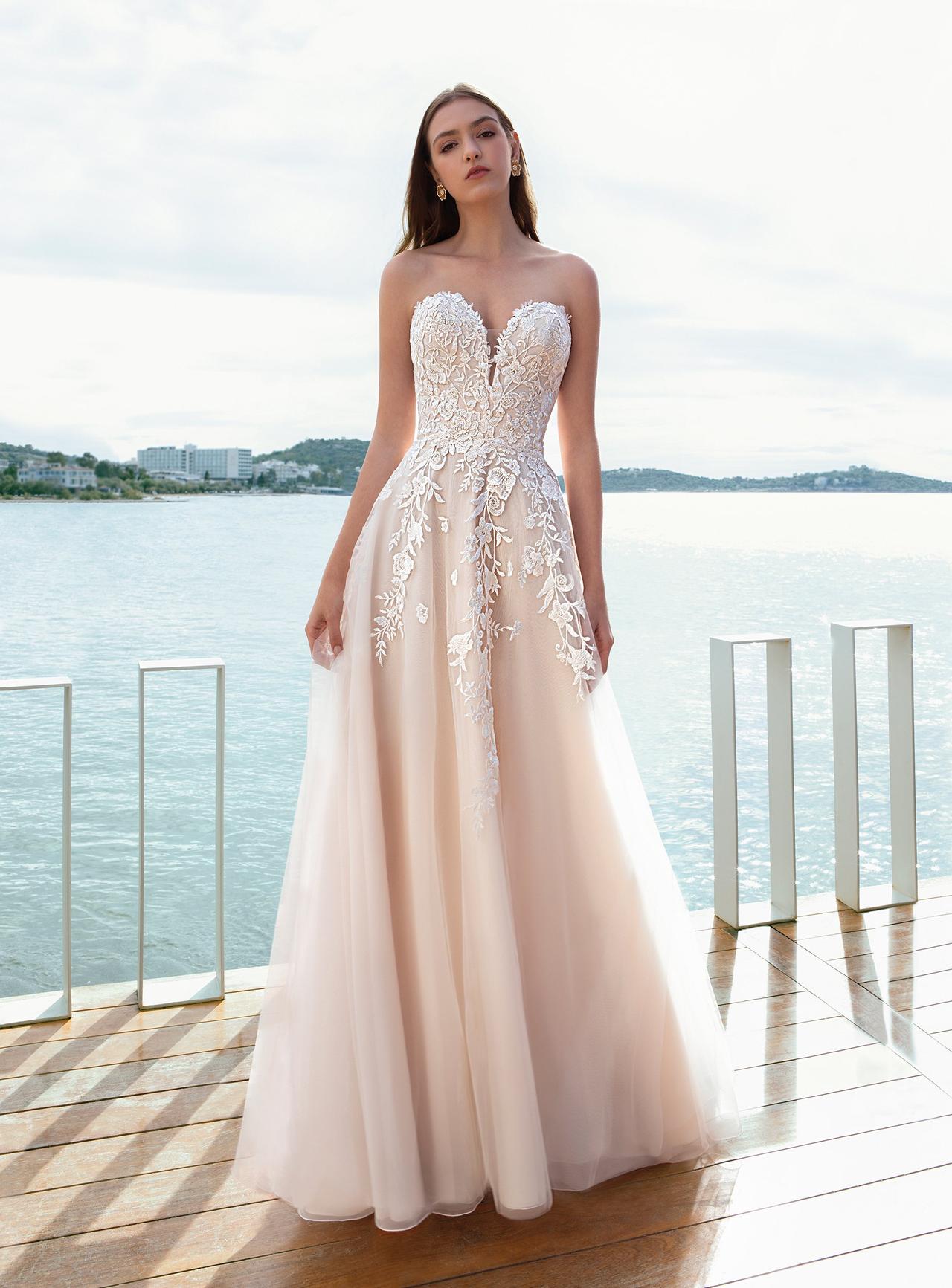Cosmobella