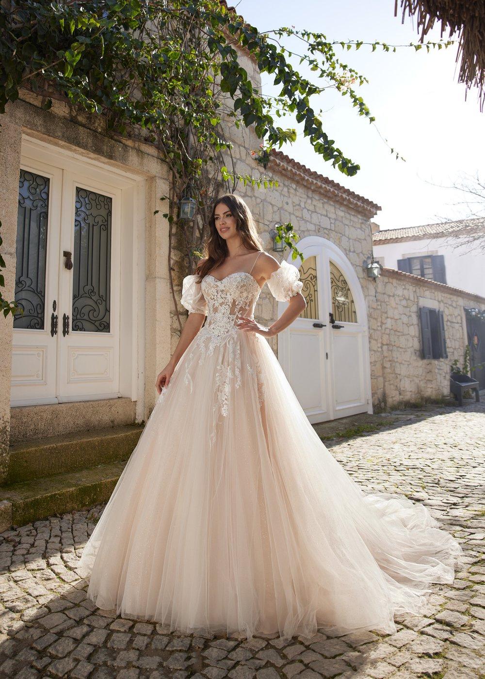 100 vestidos de novia de corte princesa para tu boda. ¿Lista para volverte  a enamorar?