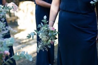 Leafhopper Weddings