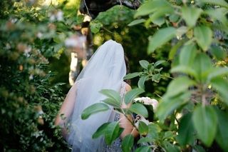 Leafhopper Weddings