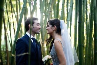 Leafhopper Weddings