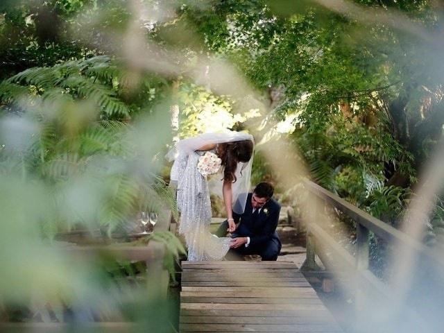 Leafhopper Weddings