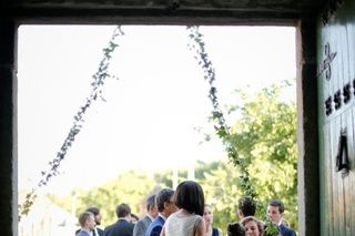 Leafhopper Weddings