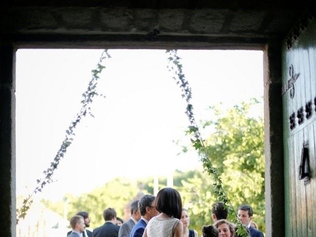 Leafhopper Weddings