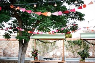 Leafhopper Weddings