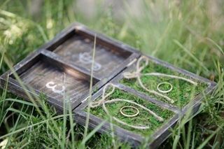 Leafhopper Weddings