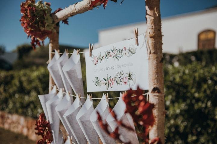 Imágenes de mi boda