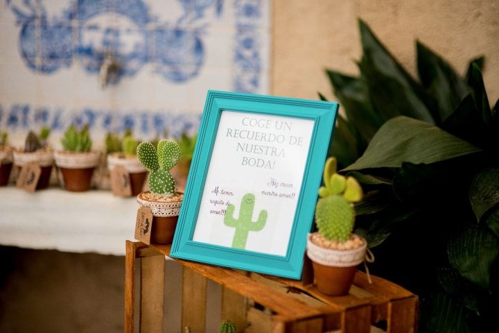 Ideas originales para decorar con cactus