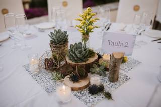 Centros de mesa geométricos con plantas crasas para el día de la boda