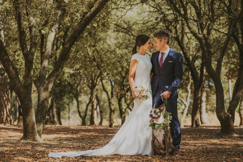 Perros en bodas: pareja de recién casados durante la sesión de fotos tras el 