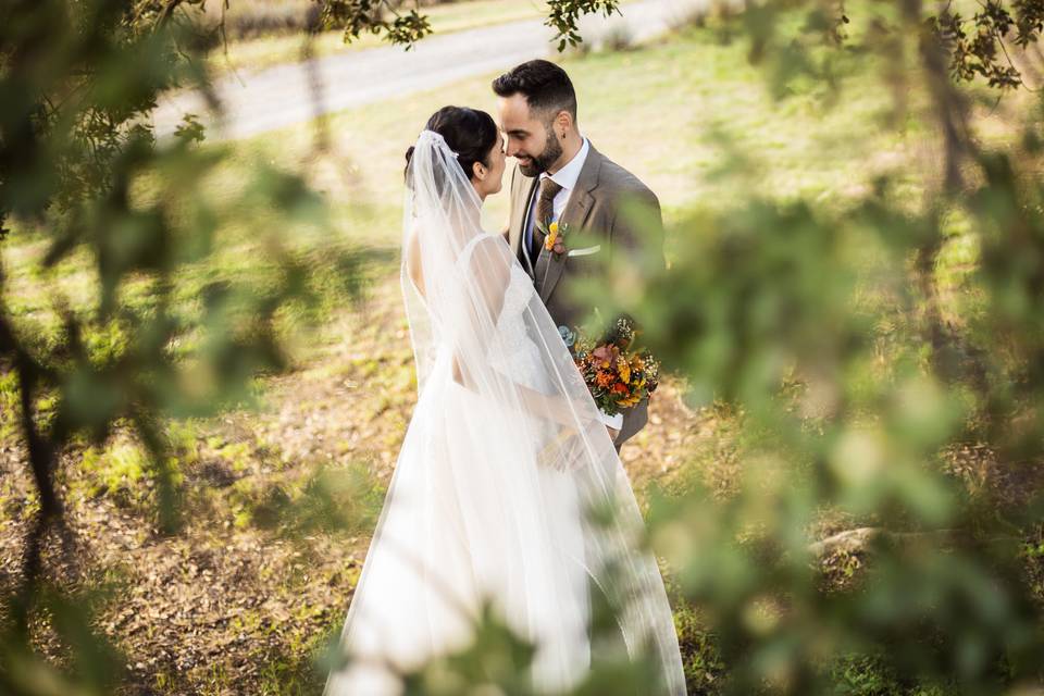 Pareja de recién casados muy felices durante la sesión de fotos al aire libre después del sí, quiero