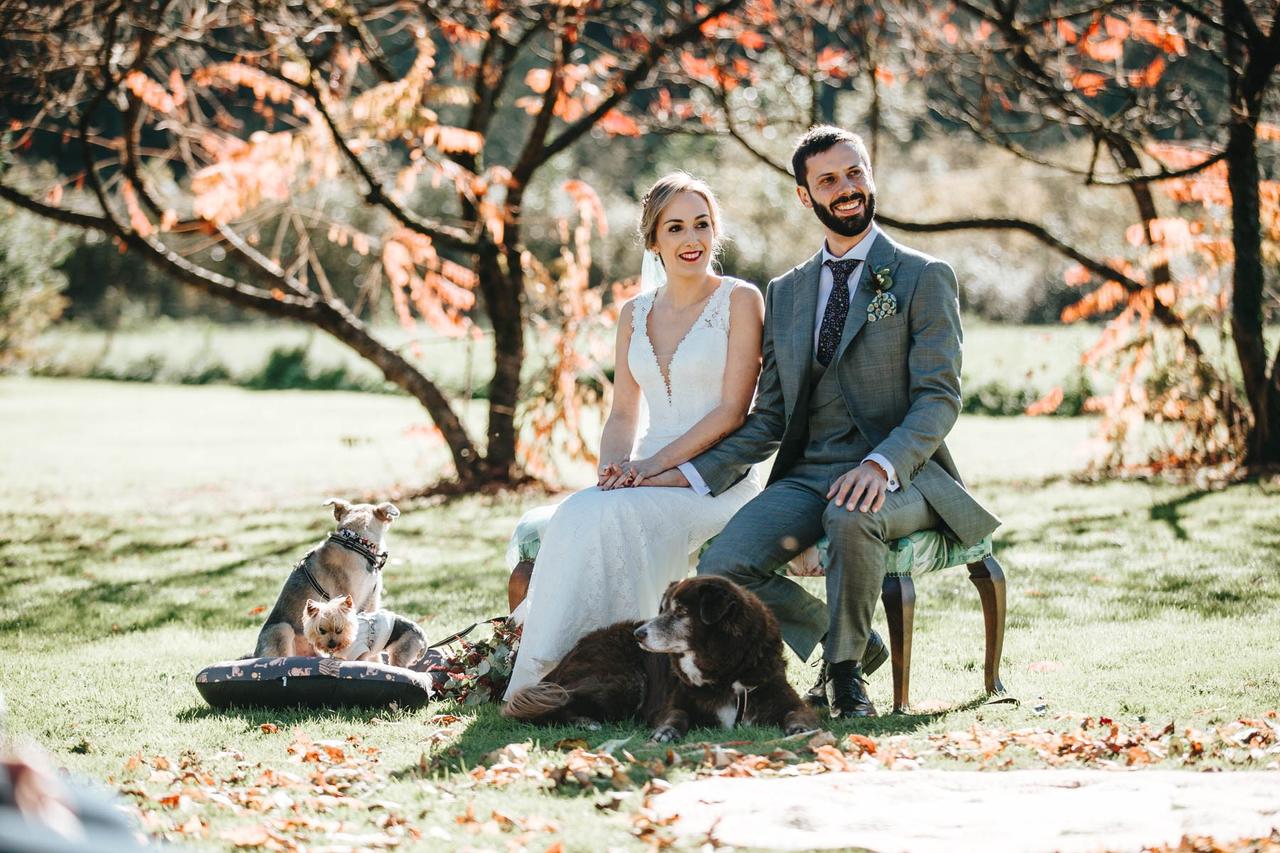 Perros bodas: pareja sentada en el altar de su boda civil con sus tres perros a sus pies