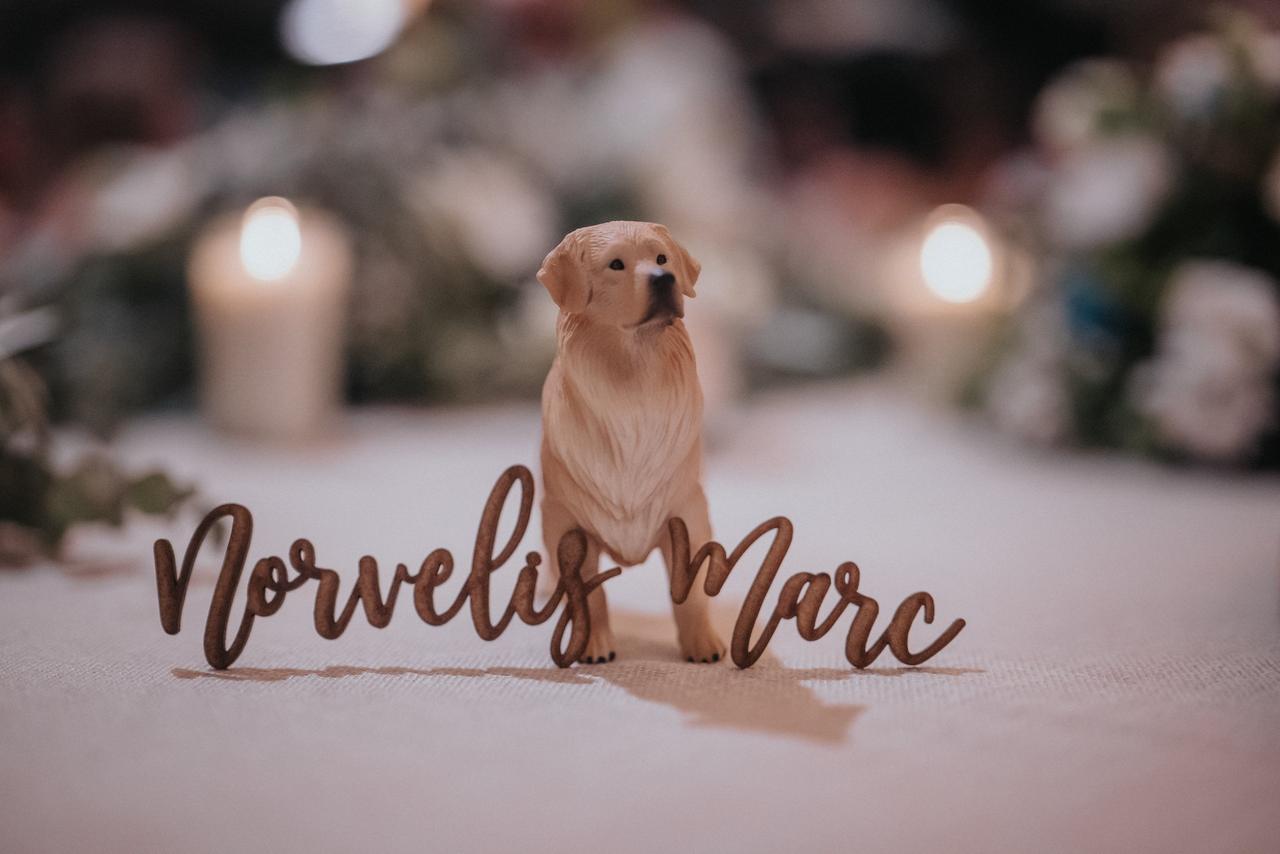 Perros boda: cake topper con los nombres de la pareja que se casa y un perro para poner en la tarta de boda