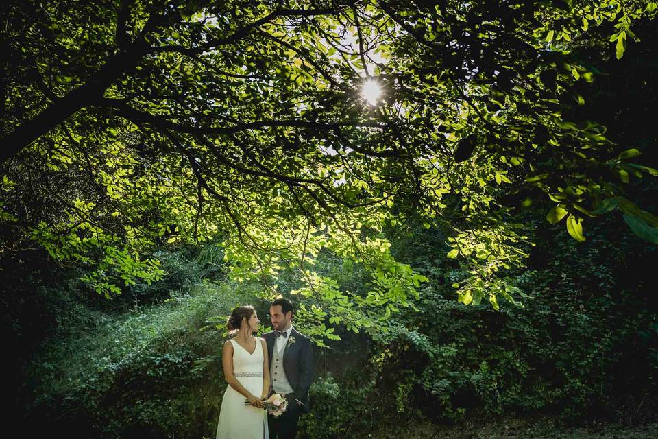 Sesión fotográfica de bodas en el bosque