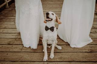 Perros bodas: perro sonriente con pajarita sentado sobre un suelo de madera en un exterior delante de dos mujeres con vestidos largos de color blanco