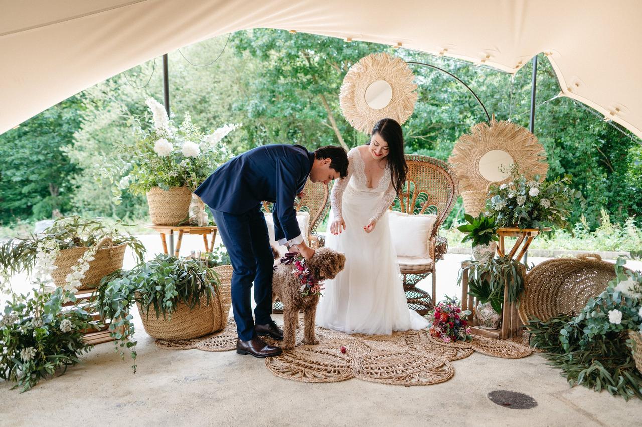 Perros boda: recién casados en el altar cogiendo las alianzas de boda que les ha llevado su perro