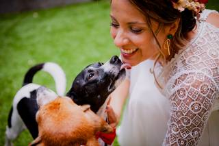 Perros bodas: chica vestida de novia con corona de flores en la cabeza juega con dos perros mientras uno le lame la barbilla