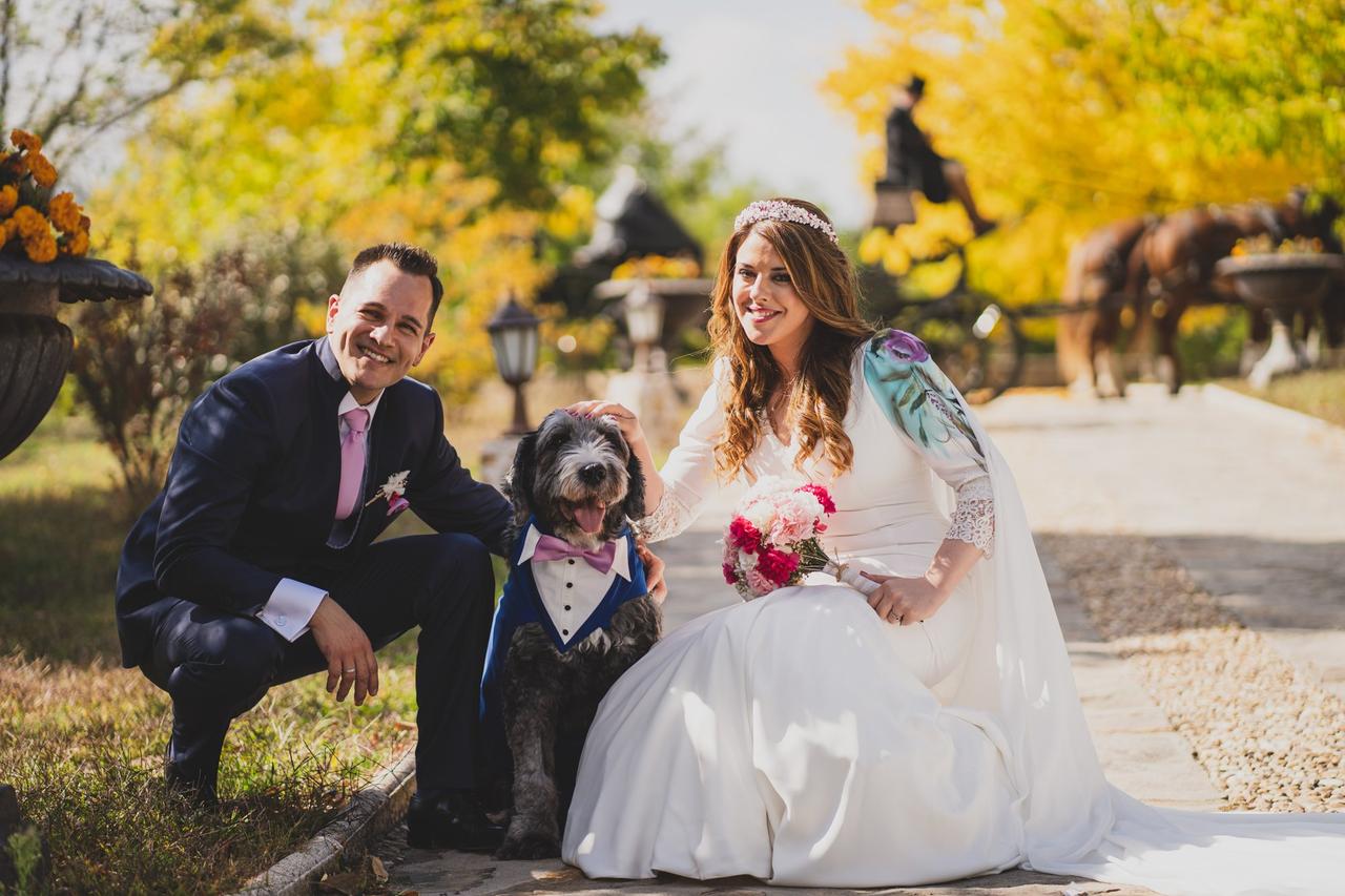 7 (encantadoras) maneras de incluir a perros en las bodas