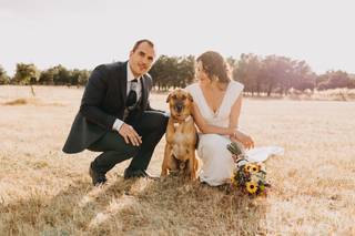 Perros en bodas: recién casados posan felices con su perro durante la sesión de fotos tras el 