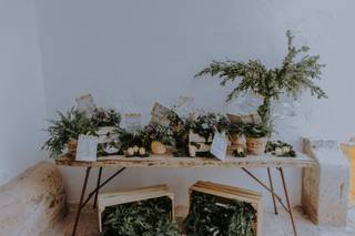 Macetas decorativas en un rincón del espacio de celebración el día de la boda