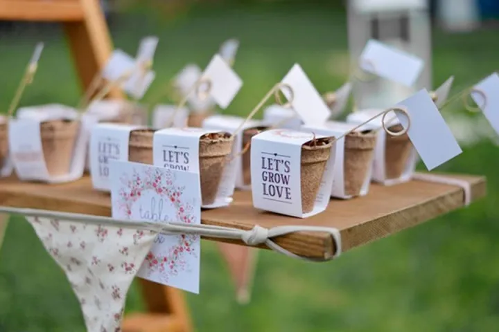 Detalles y regalos ecológicos para bodas: ¡10 ideas sostenibles muy  acertadas!