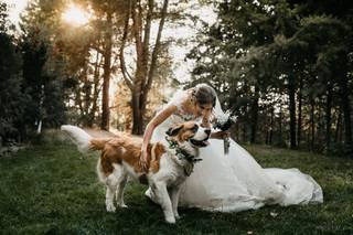 Perros bodas: chica vestida de novia acaricia a su perro en un precioso exterior