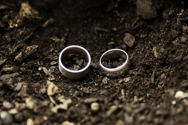 Dónde comprar las alianzas de boda