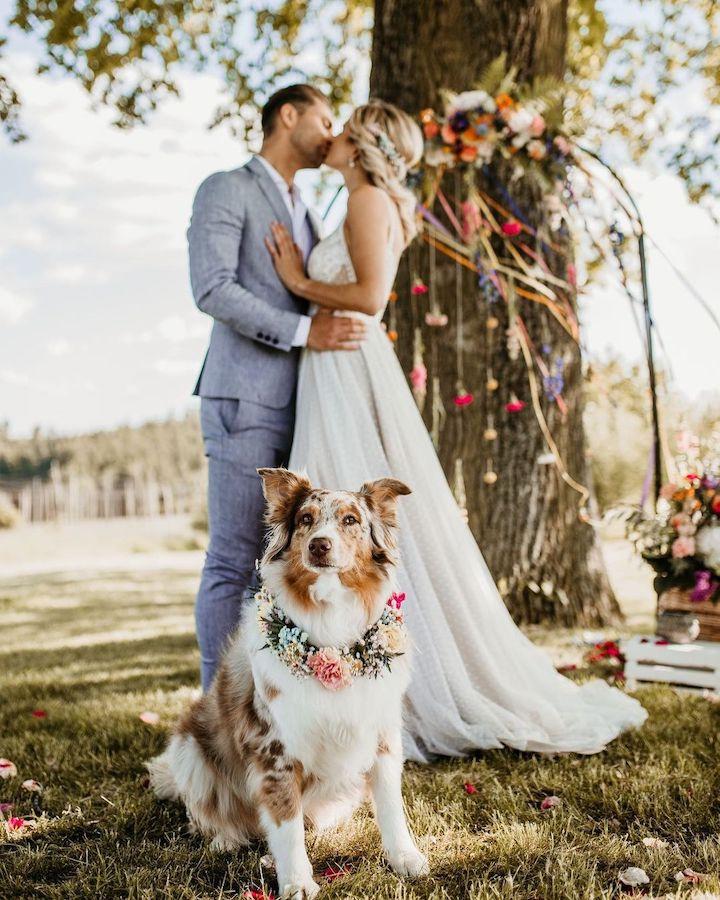 Perros boda: primer plano de un perrp cpon una corona de flores al cuello, mientras una pareja de recién casados se besa tras él