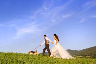 Perros boda: recién casados vestidos con ropa de boda pasean por un campo con su perro