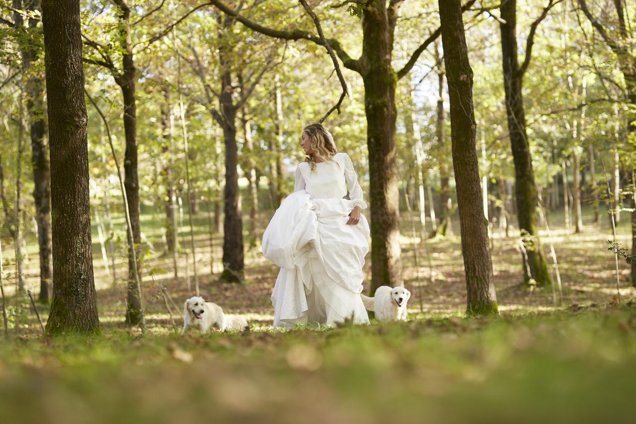 Perros bodas: novia en un exterior con muchos árboles camina en compañía de sus dos perros