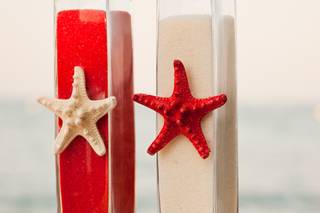 Decoración de playa Estrellas de mar rojas pintadas - Decoración de boda de  playa, estrellas de mar pintadas, decoración náutica de estrellas de mar