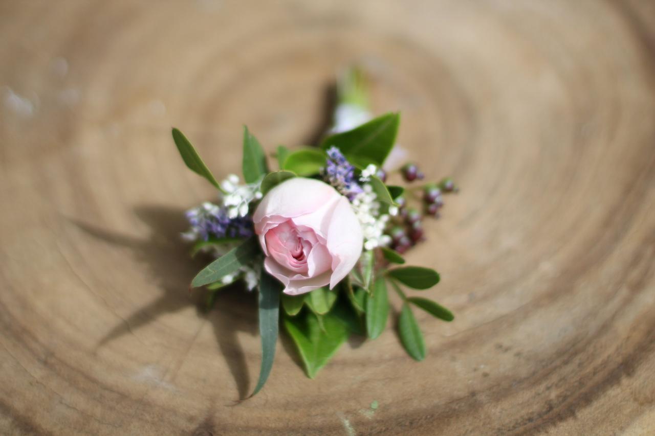 Prendido de novio con rosa de color rosa y mucho verde alrededor