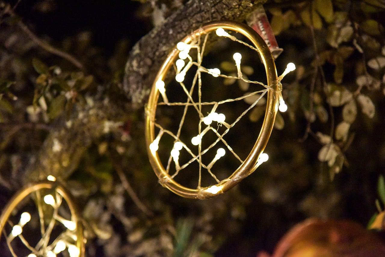Detalle decorativo con luces led colgando de la rama de un árbol