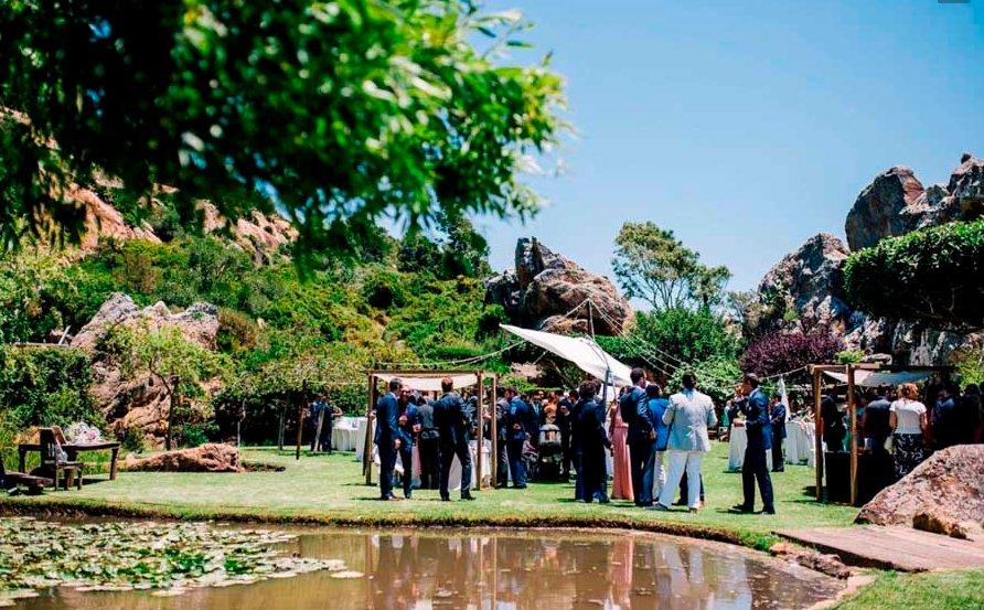 Invitados de una boda durante el banquete nupcial