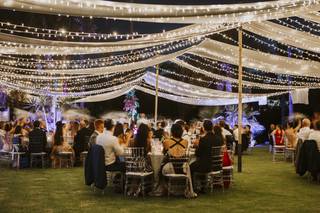 Personas elegantemente vestidas cenando en un exterior con césped, bajo una guirnalda de luces led