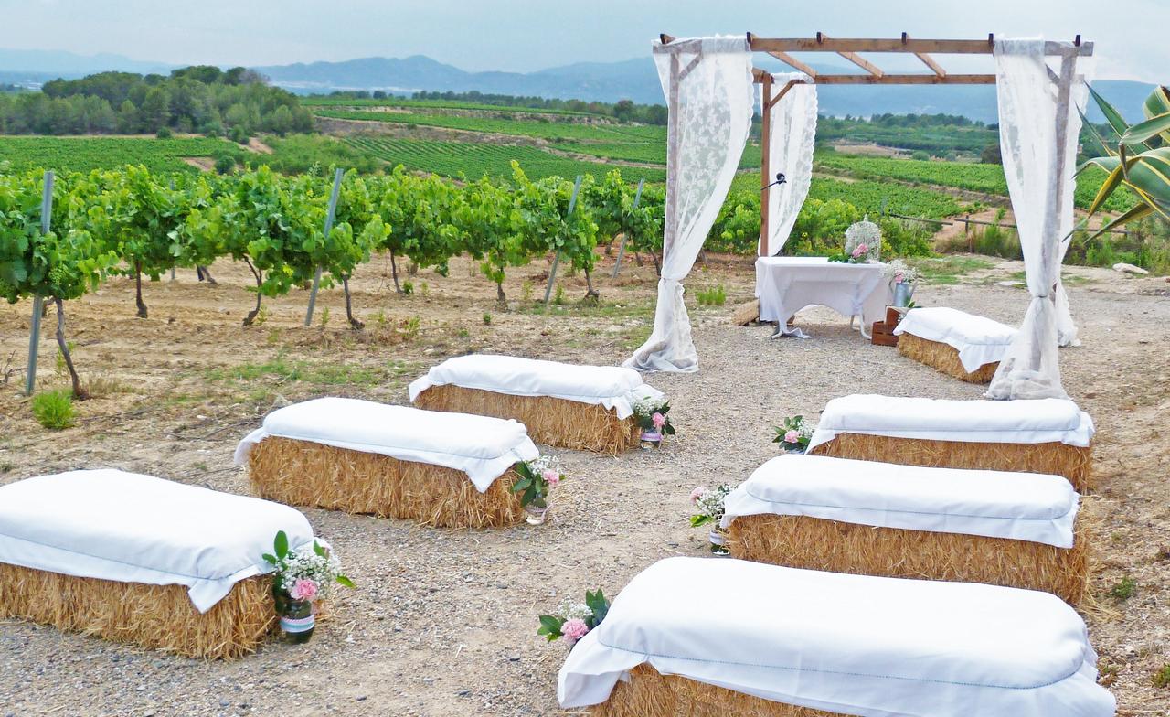 Masba Events Terra Alta