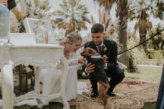 Perros en boda: recién casados acariciando a su perro en el altar de su boda civil al aire libre