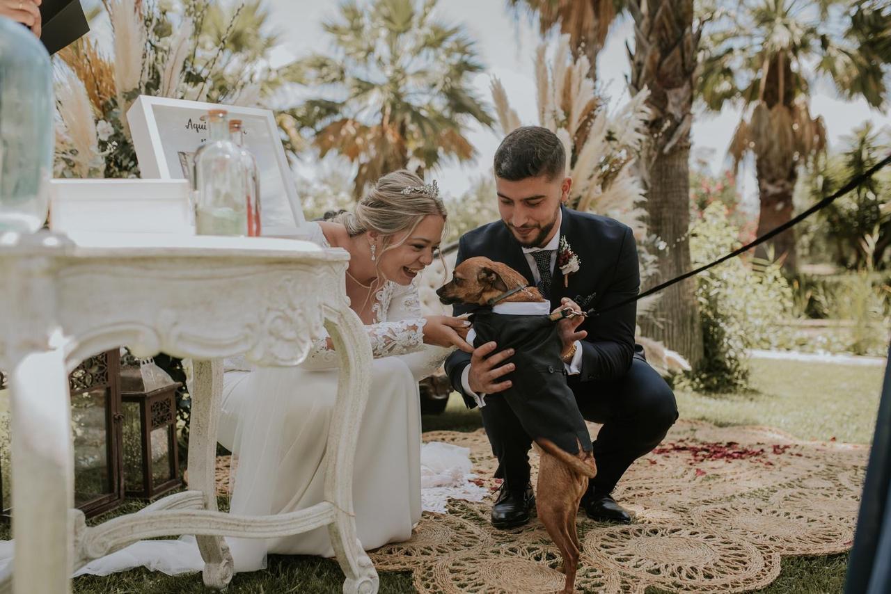 Perros en boda: recién casados acariciando a su perro en el altar de su boda civil al aire libre