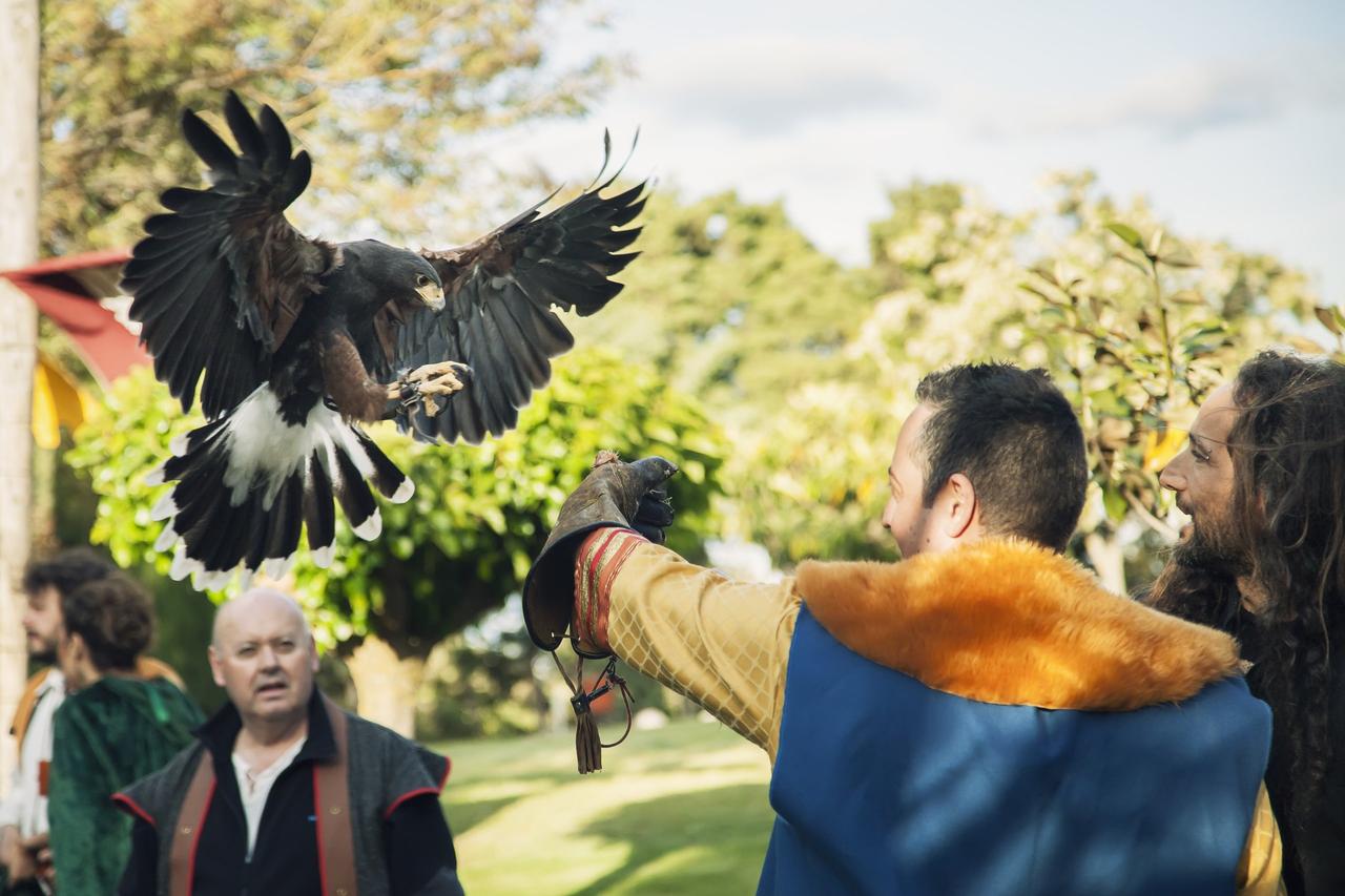 bodas medievales: espectáculo con aves