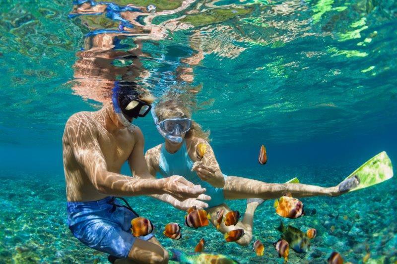 Luna de miel 2025: chico y chica haciendo submarinismo rodeados de peces
