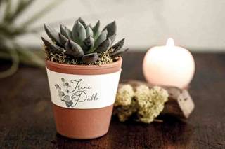 Detalles de boda baratos: cactus pequeño con una etiqueta personalizada