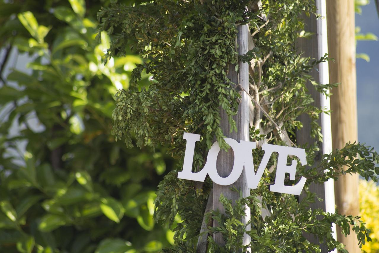 Cartel en el que puede leerse la palabra Love colgando de la rama de un árbol el día de la boda