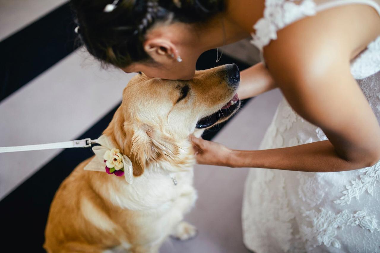 Perros bodas: novia dando un beso en la cabeza a su perro