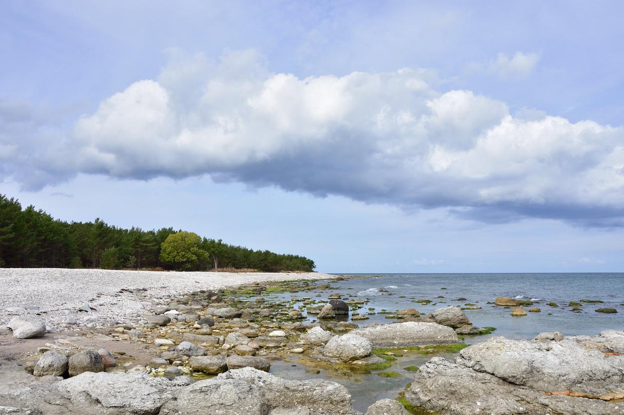 Playa de Norsta Auren en la isla de Gotland
