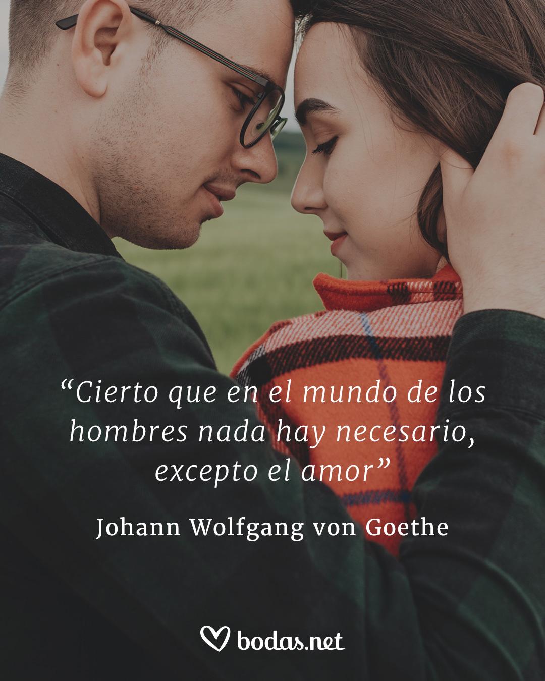 Frases literarias de amor: Cierto que en el mundo de los hombres nada hay necesario, excepto el amor, de Johann Wolfgang Von Goethe