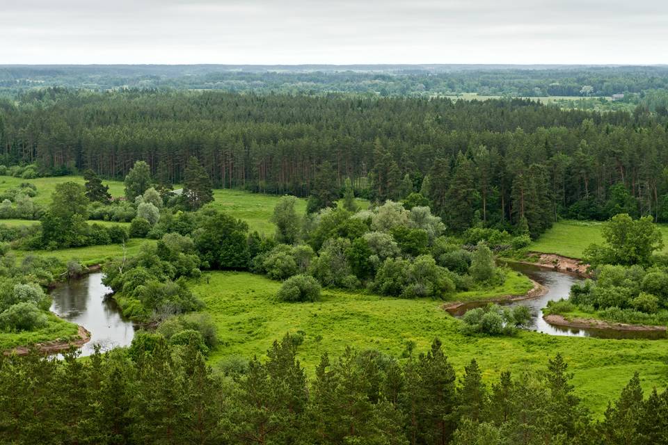 Luna de miel en Estonia: un país de cuento de hadas 