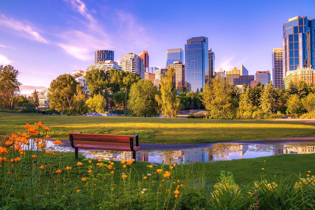 Luna de miel en Canadá: vista del skyline de Calgary desde un parque