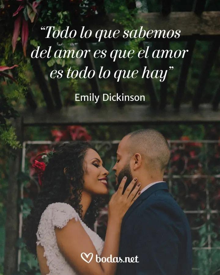 Frases de amor de escritores: Todo lo que sabemos del amor es que el amor es todo lo que hay, de Emily Dickinson