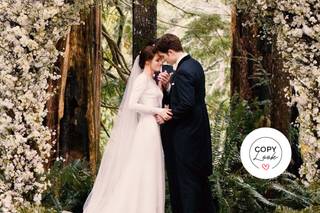 vestidos de novia de películas: Bella Swan en Crepúsculo
