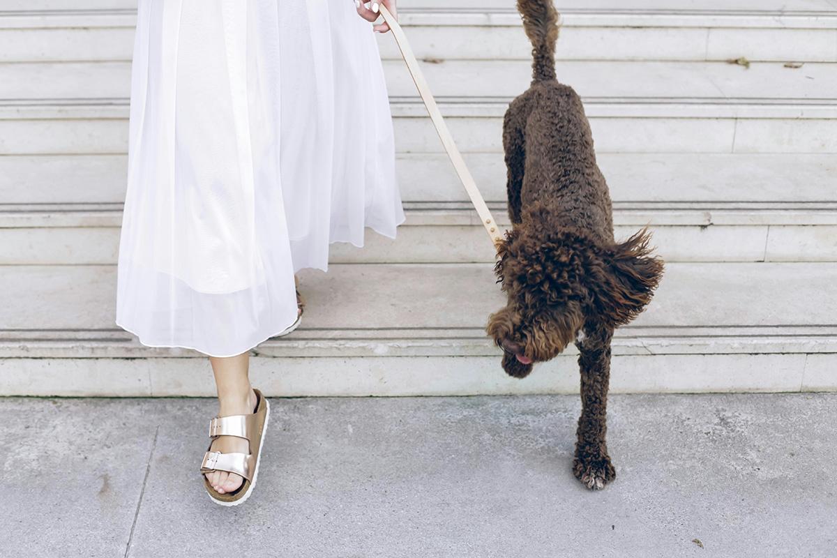 Foto de FLOUFFY en Unsplash
